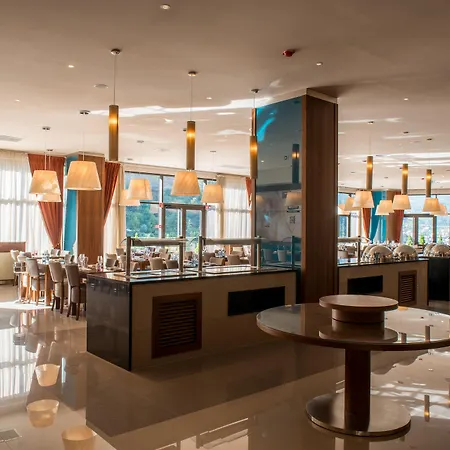 Gale Collection Serra Da Estrela