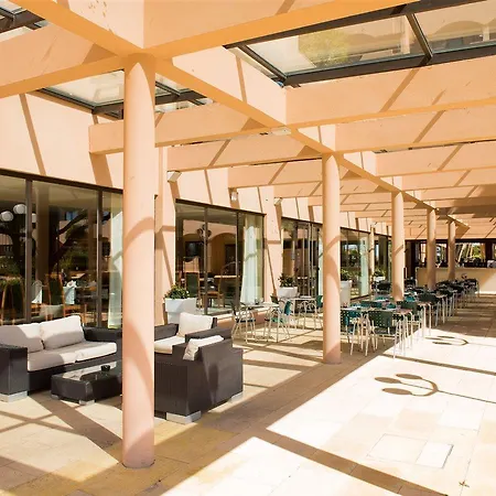 Gale Collection Serra Da Estrela