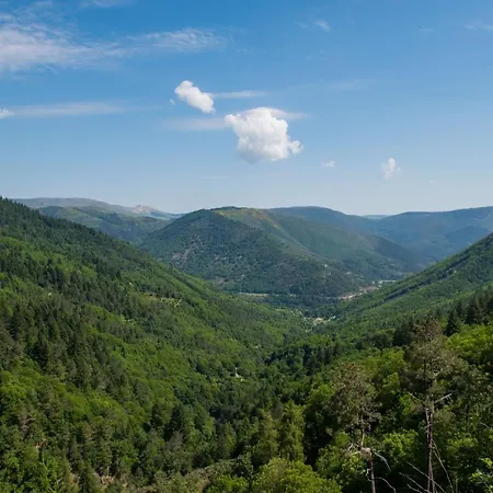 Gale Serra Da Estrela 4*