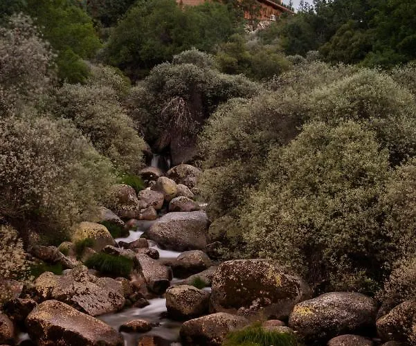 Hotel Gale Collection Serra Da Estrela 4*